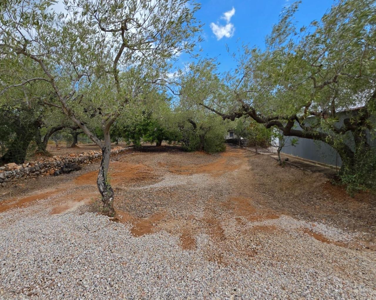 Finca en Venta en El Perelló