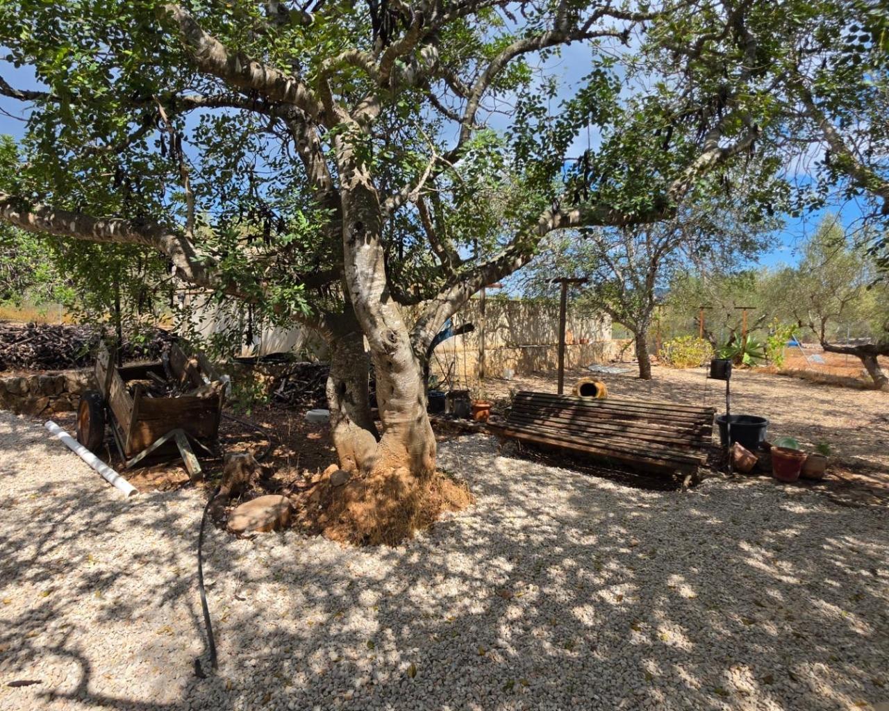 Finca en Venta en El Perelló