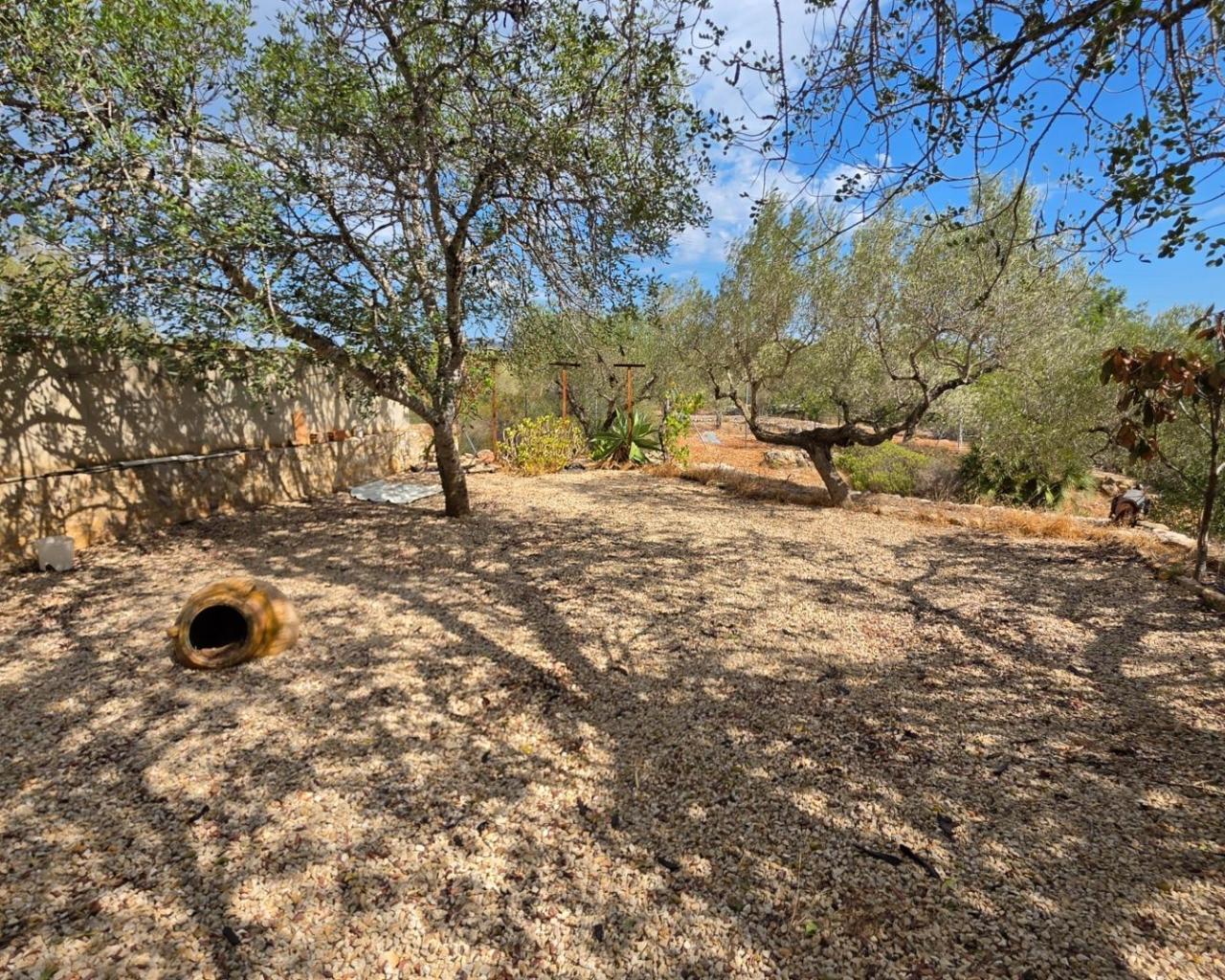 Finca en Venta en El Perelló