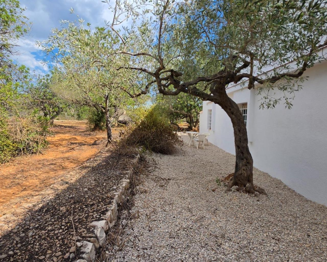 Finca en Venta en El Perelló