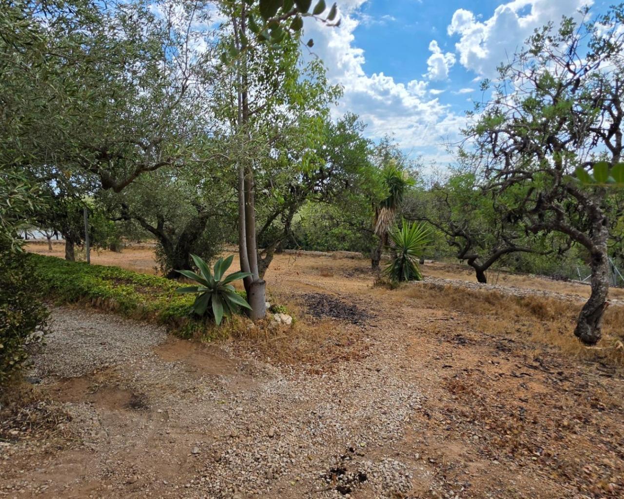 Finca en Venta en El Perelló