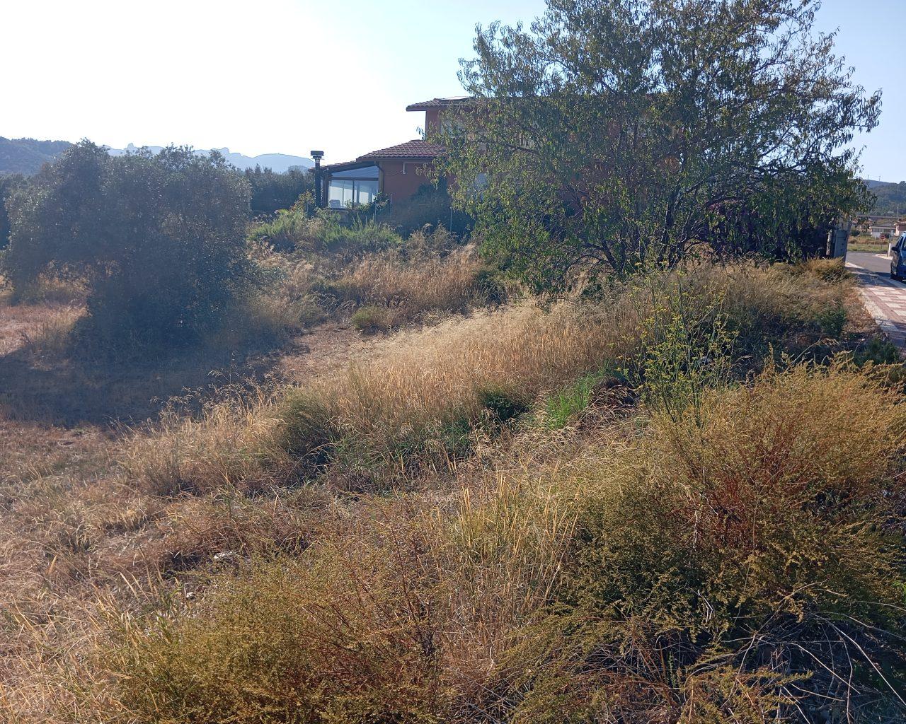 Plot for Sale in Vilanova d'Escornalbou