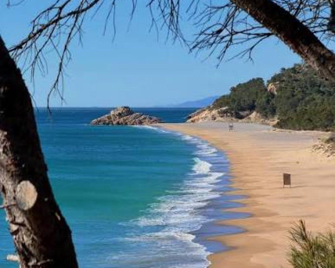 Plot for Sale in Vilanova d'Escornalbou