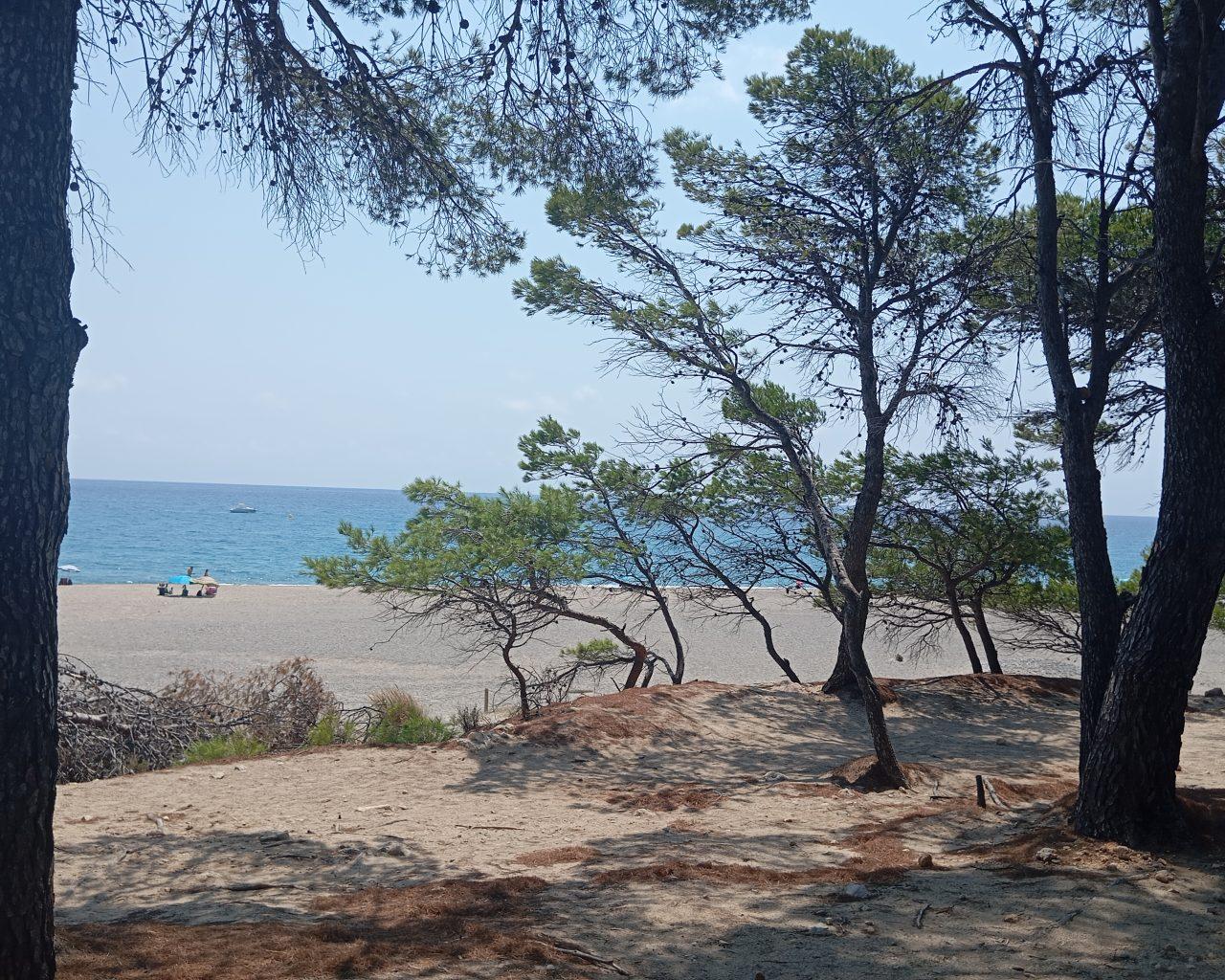 Plot for Sale in Vilanova d'Escornalbou