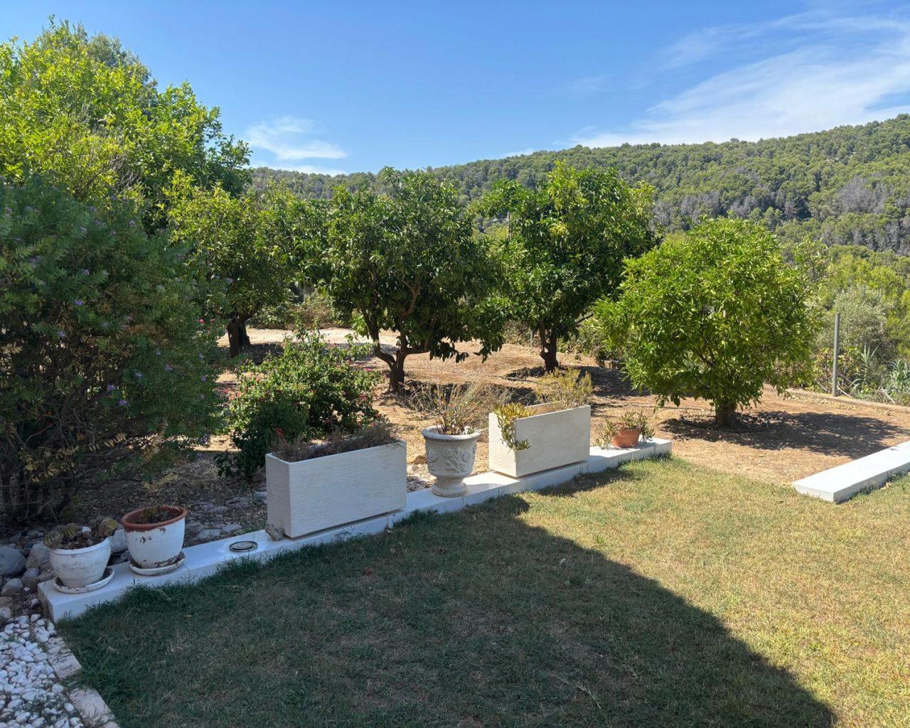 Apartment for Rent in Oliva