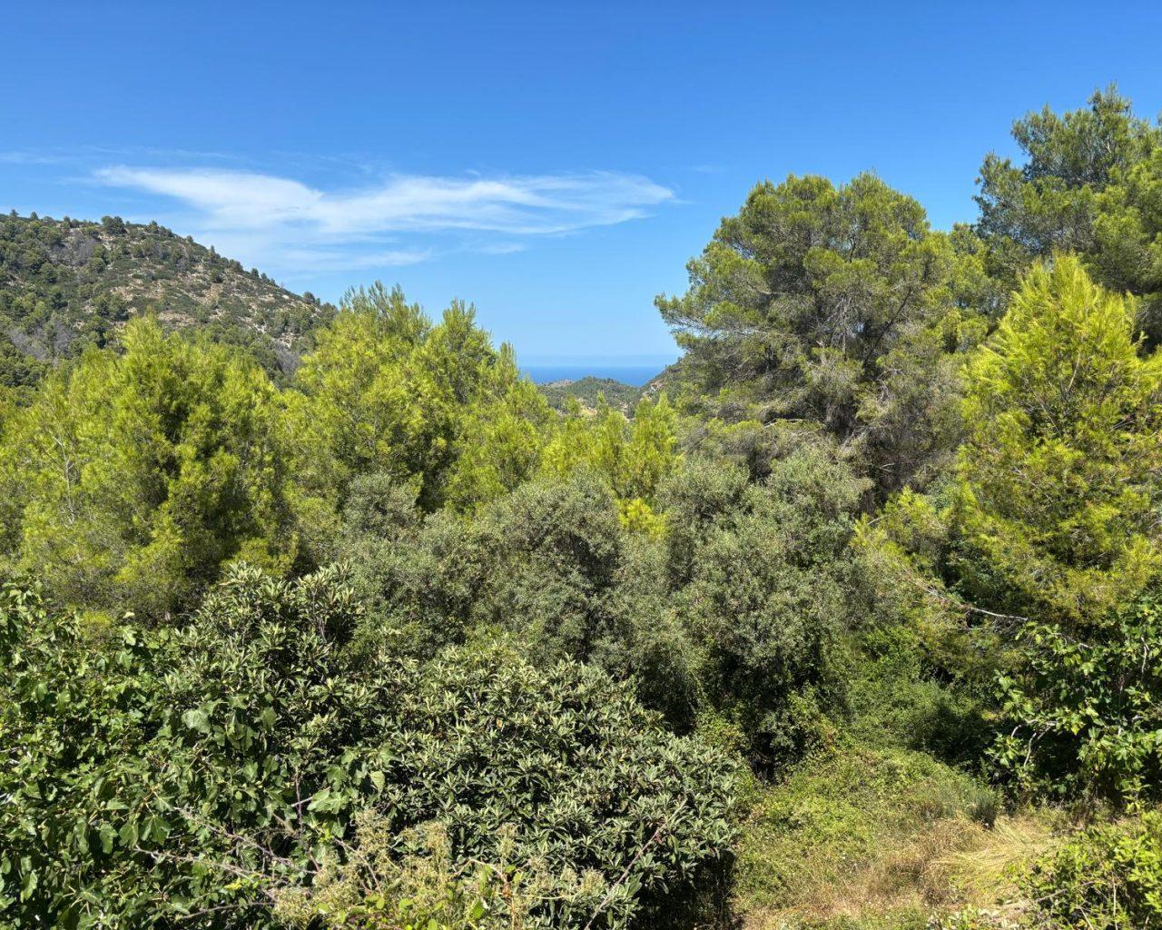 Apartment for Rent in Oliva