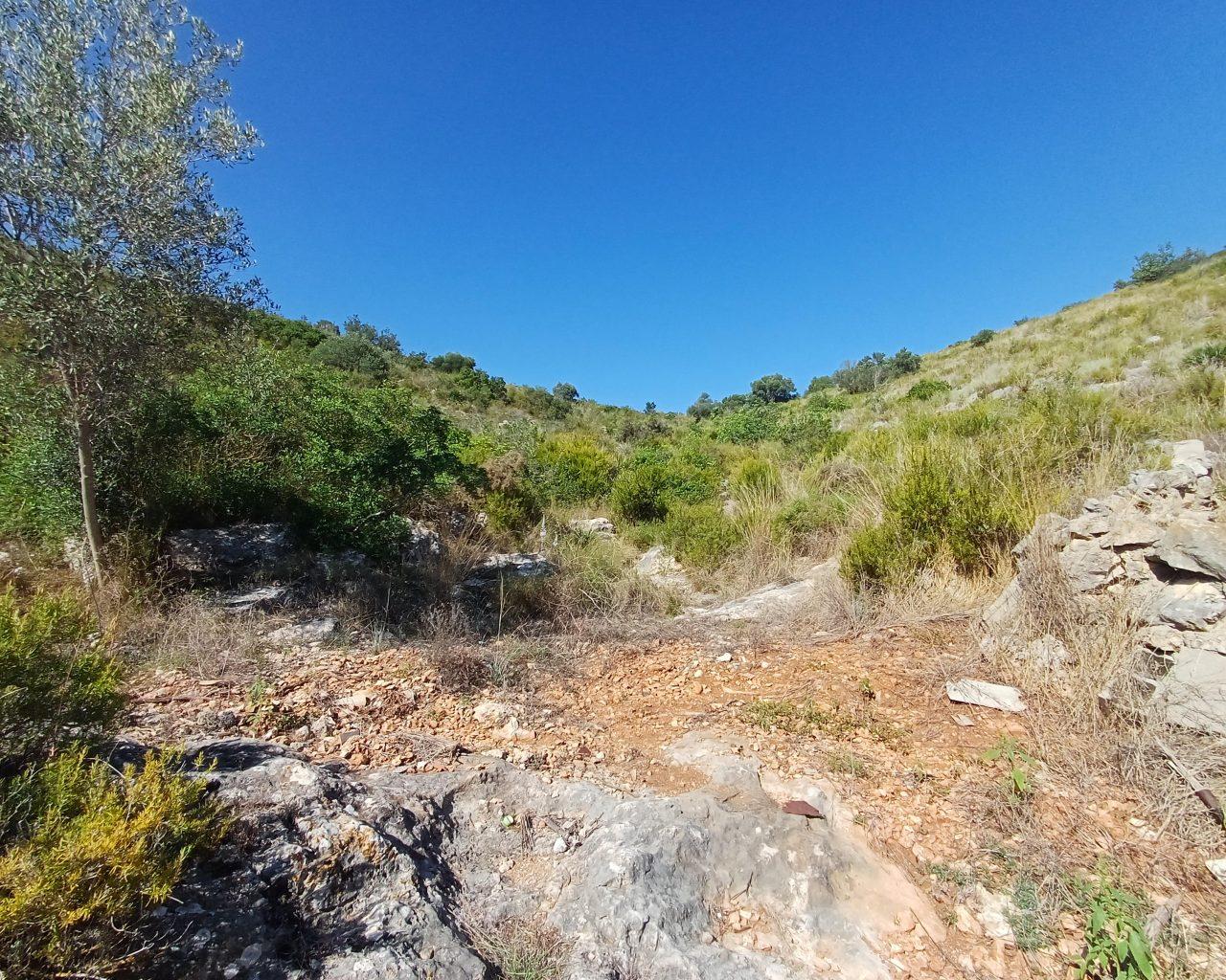 Finca en Venta en Oliva