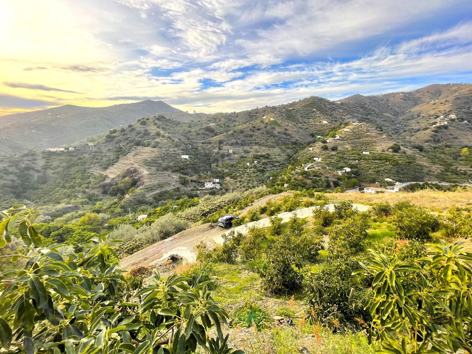House for Sale in Sayalonga