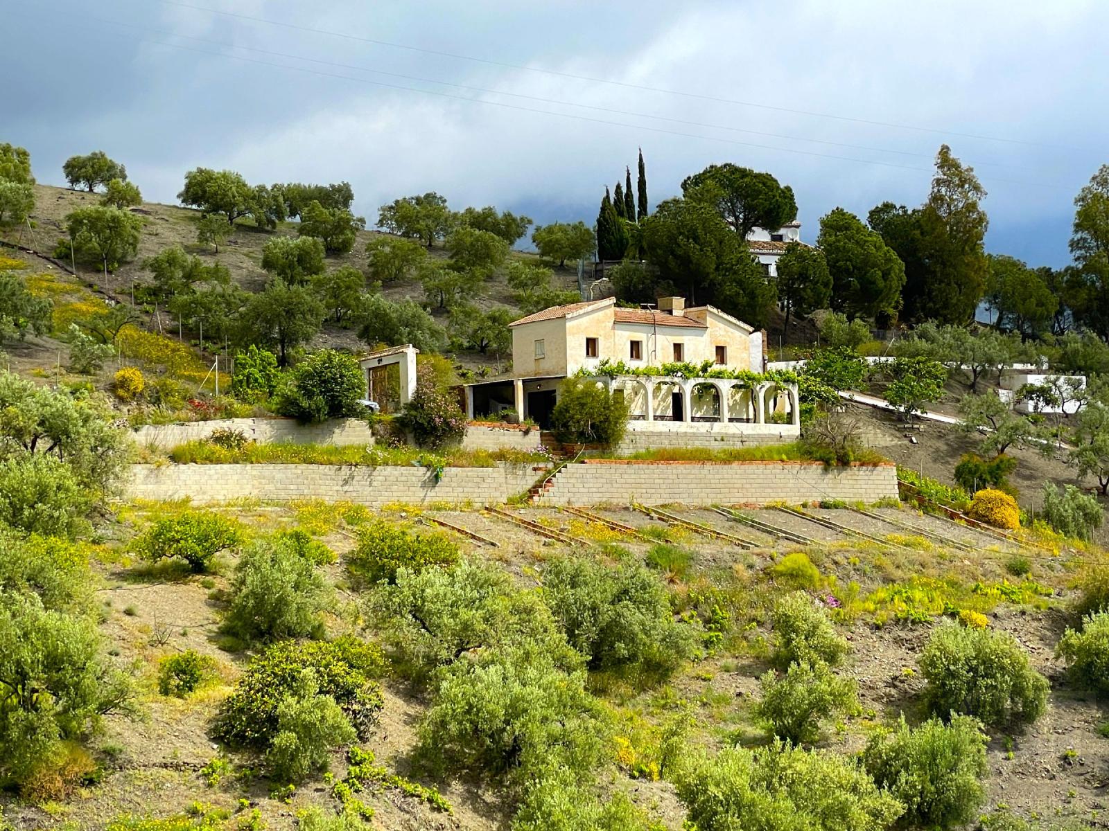 Villa for Sale in Canillas de Albaida