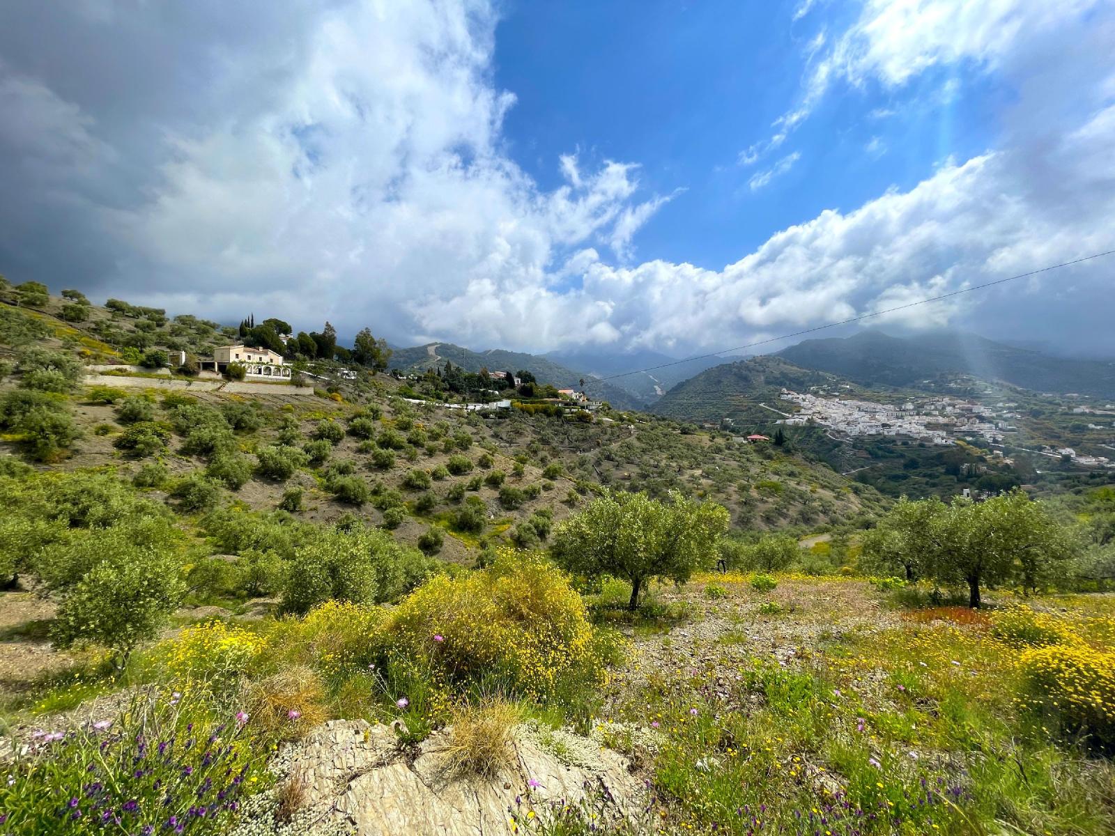Villa en Venta en Canillas de Albaida