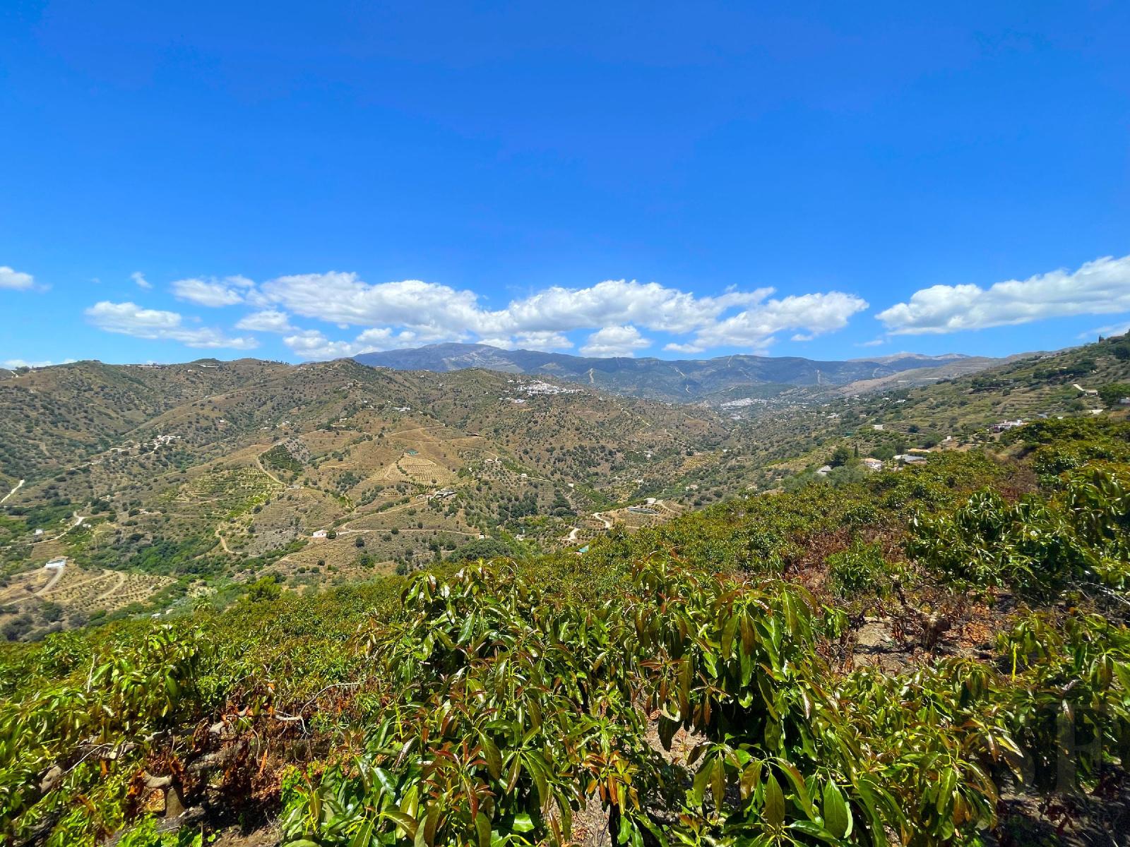 Villa for Sale in Sayalonga