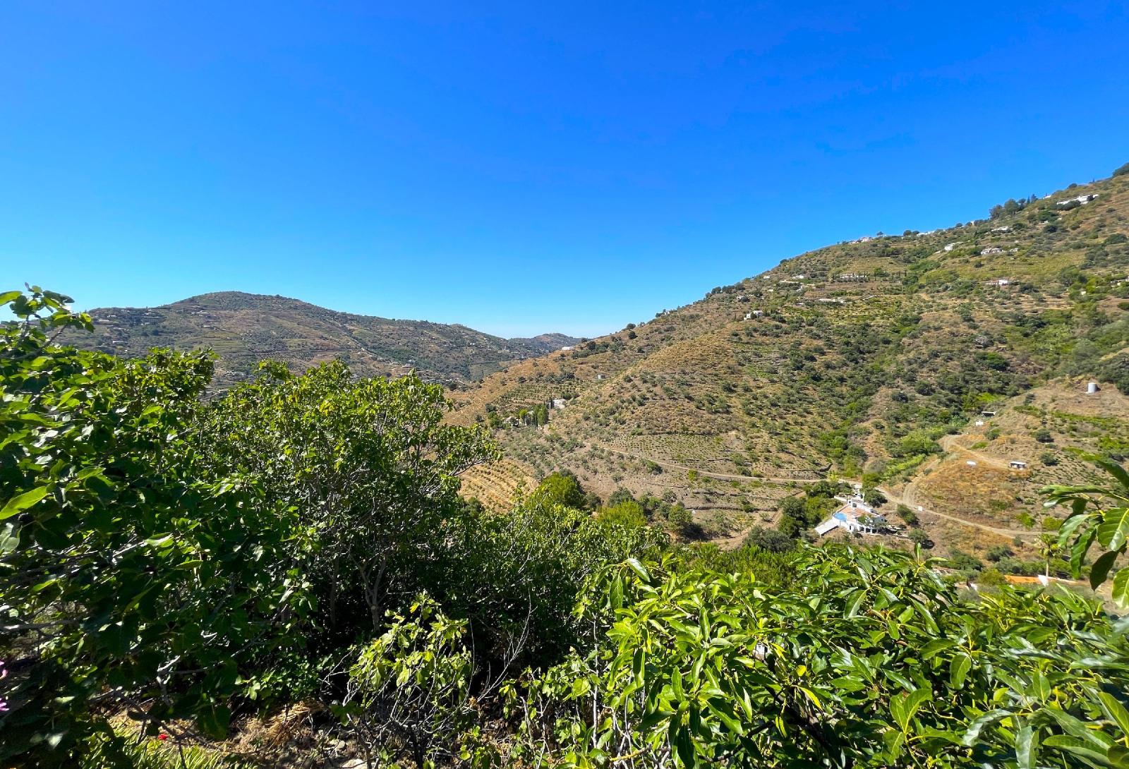 Villa for Sale in Cómpeta