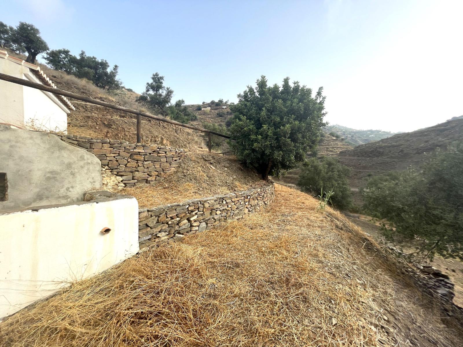 Villa for Sale in Sayalonga