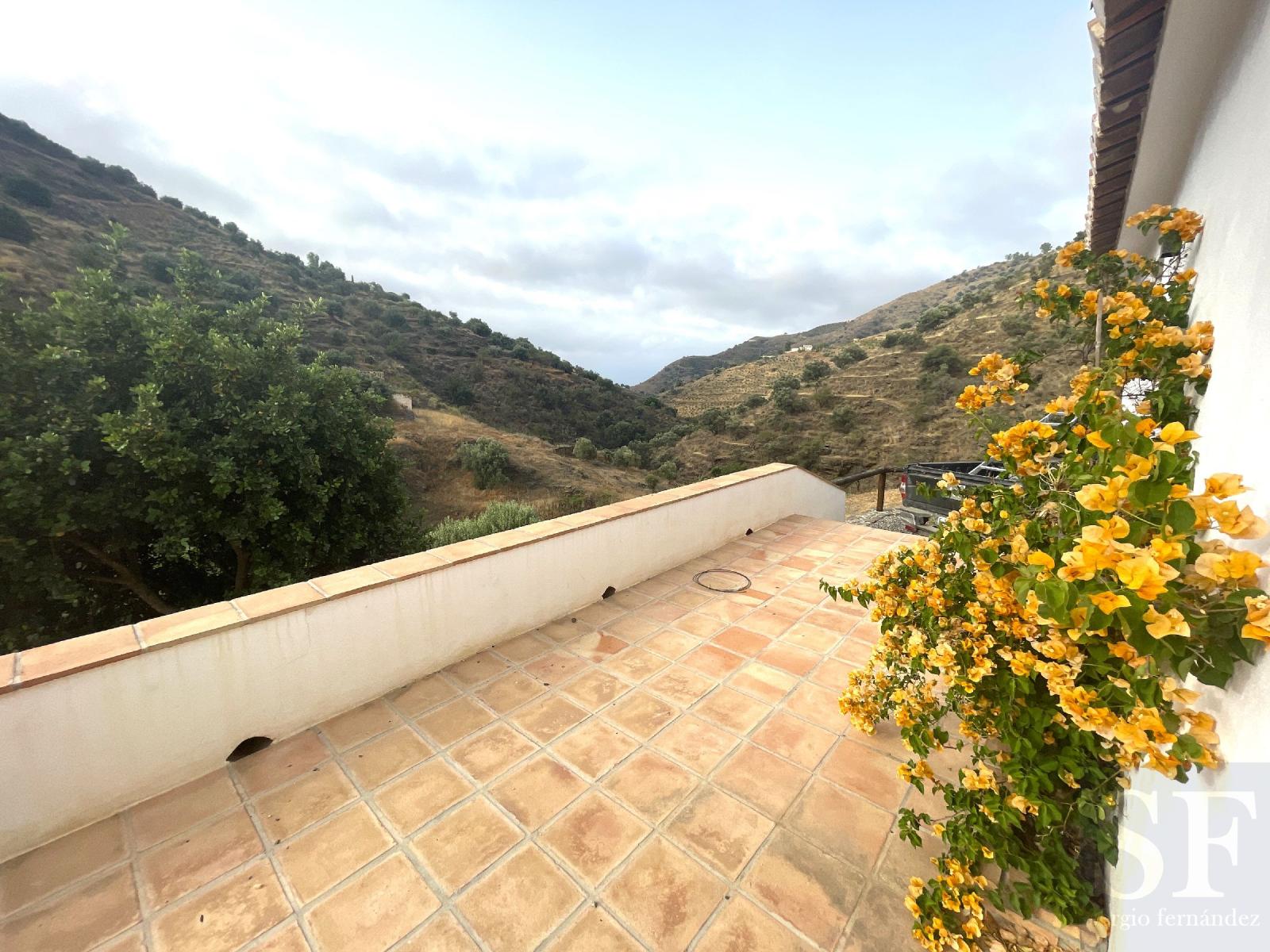 Villa for Sale in Sayalonga