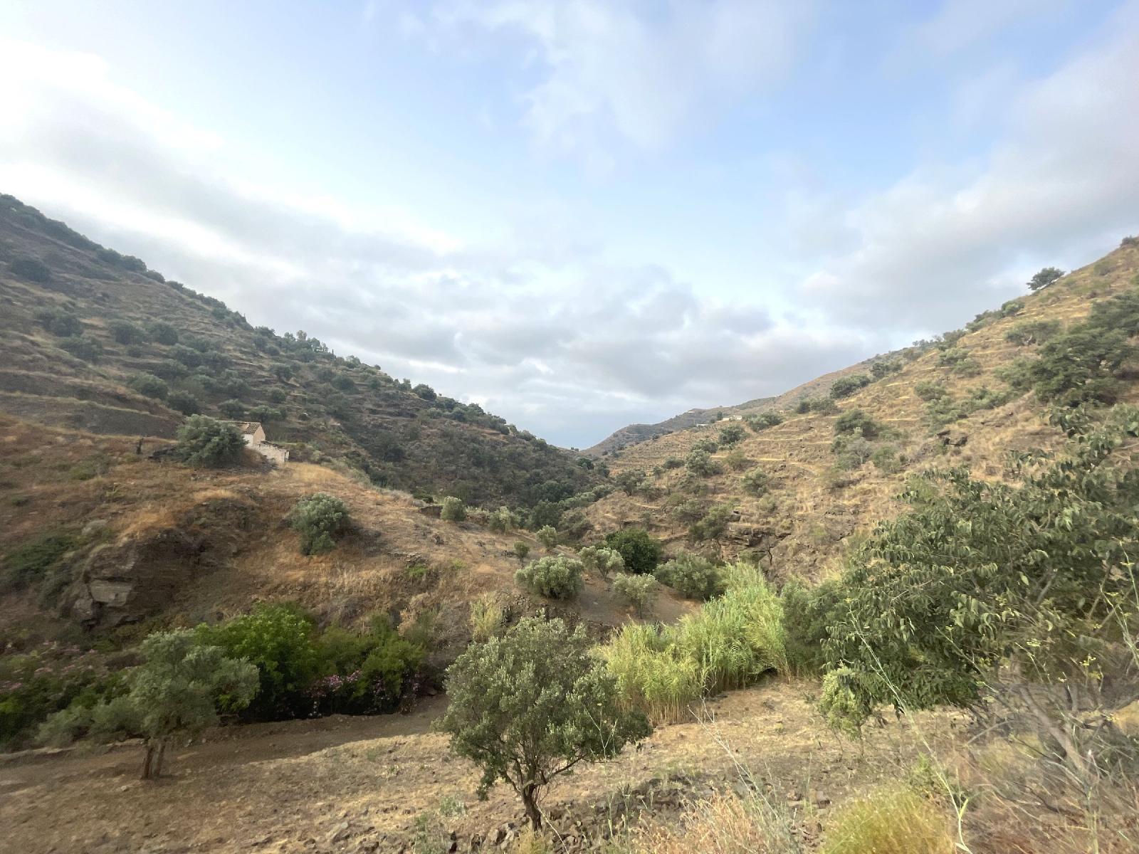 Villa for Sale in Sayalonga