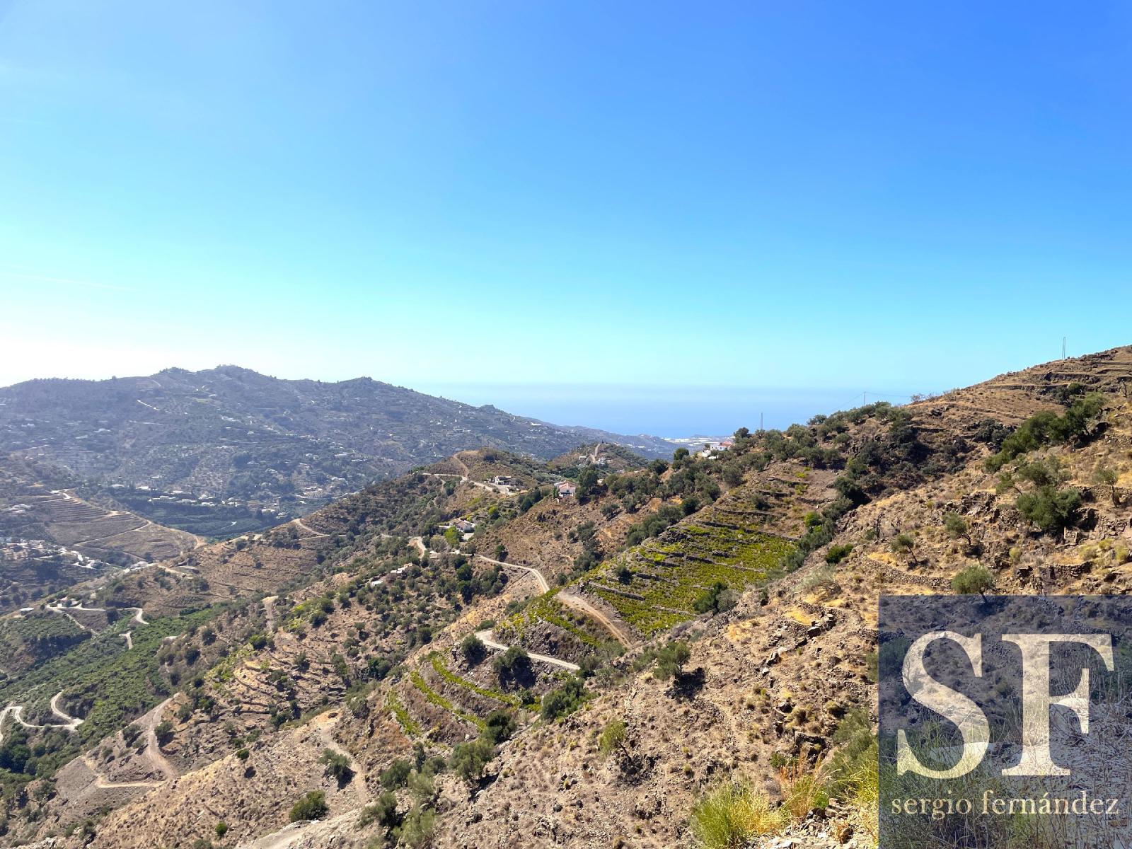 Villa for Sale in Cómpeta