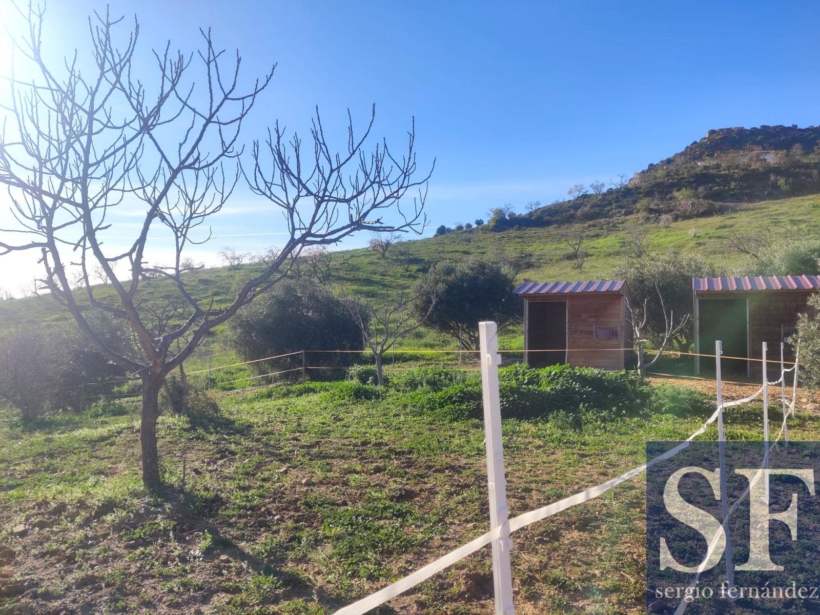 Villa for Sale in Casabermeja