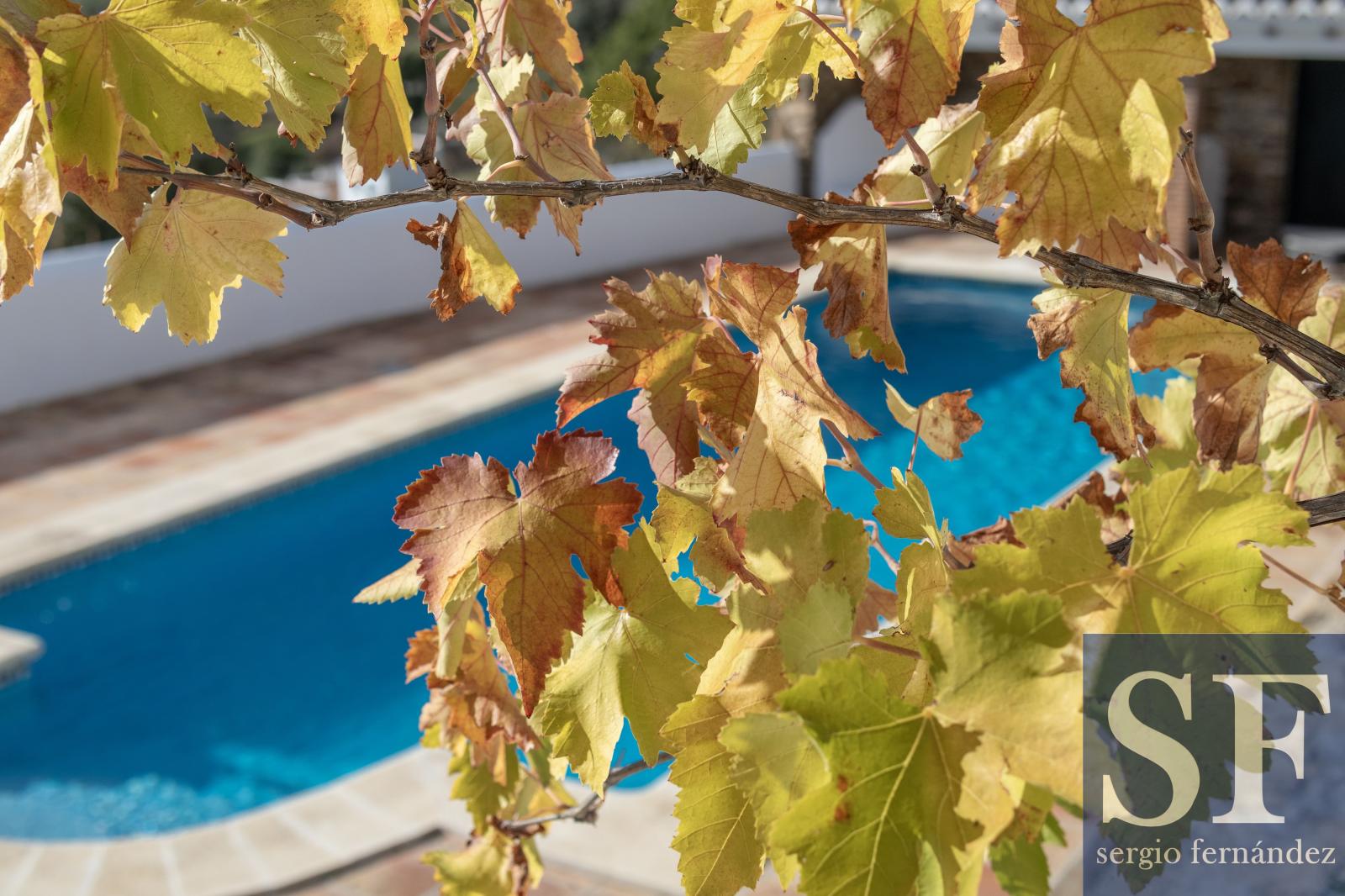 Villa for Sale in Cómpeta
