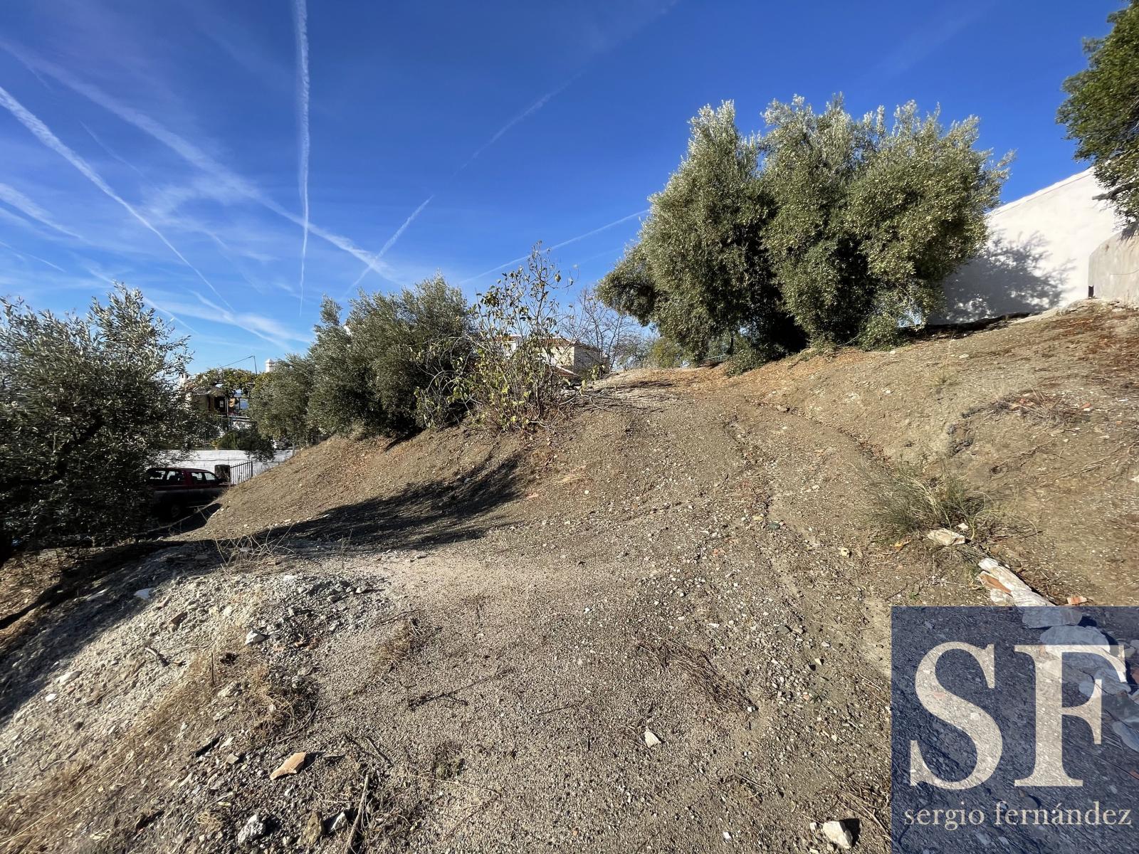 Villa for Sale in Canillas de Aceituno