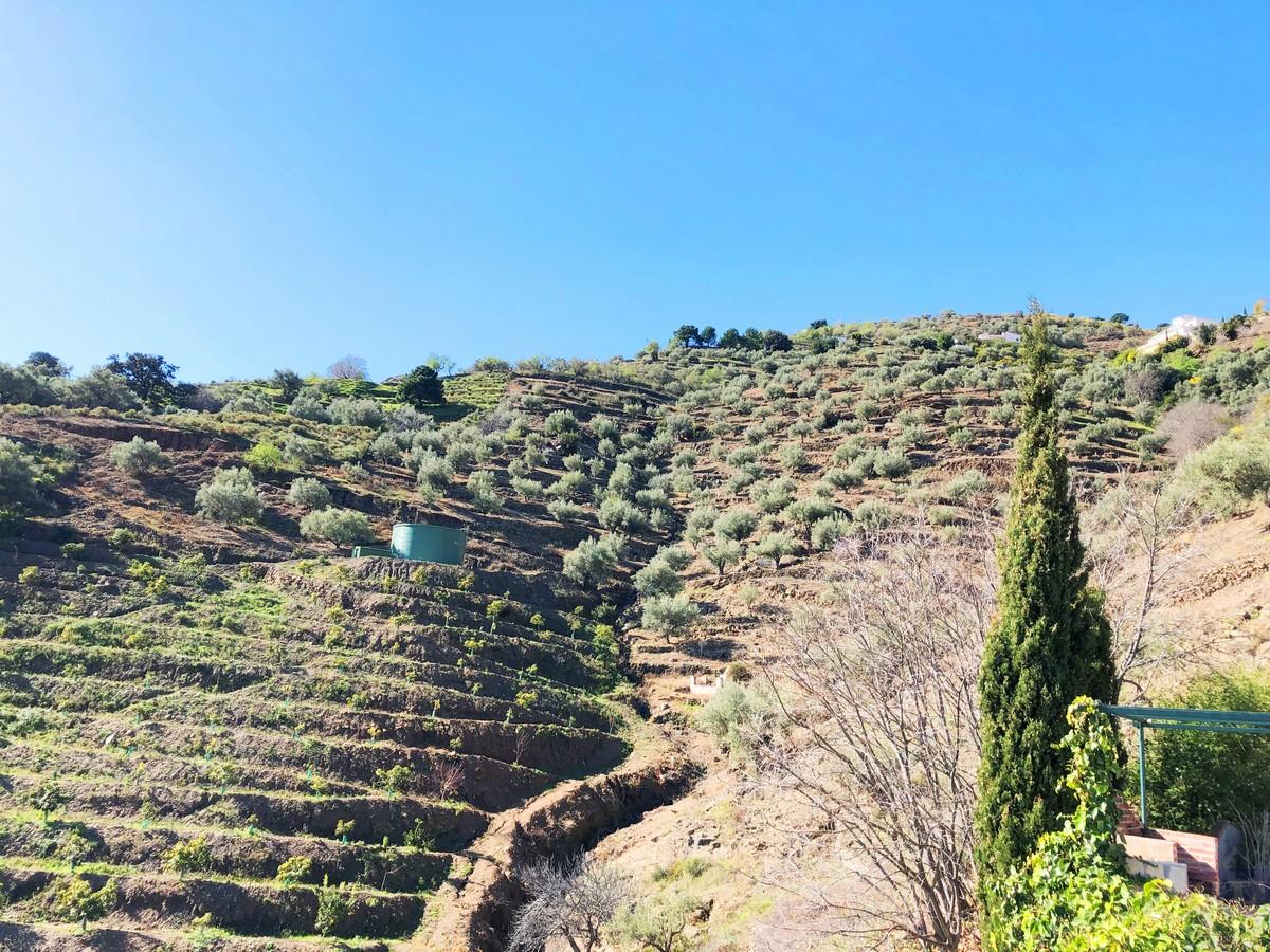 Villa for Sale in Cómpeta