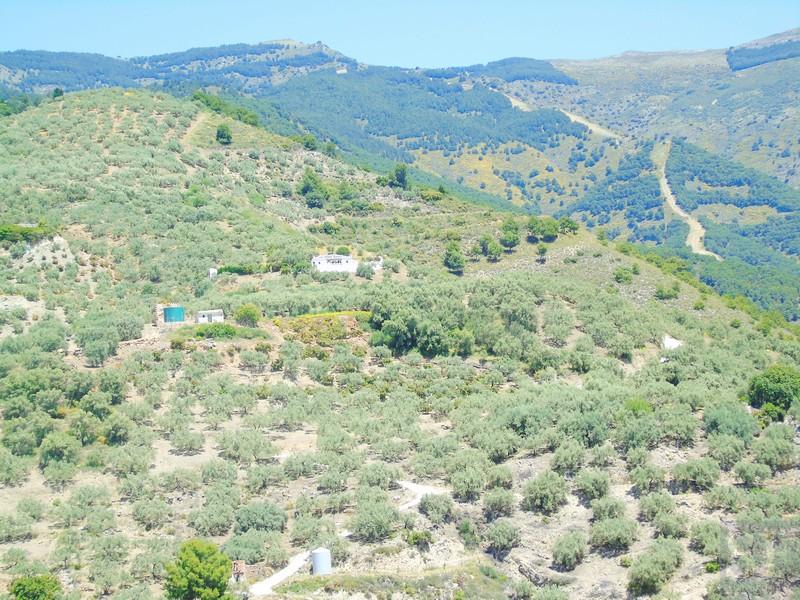 House for Sale in Canillas de Albaida