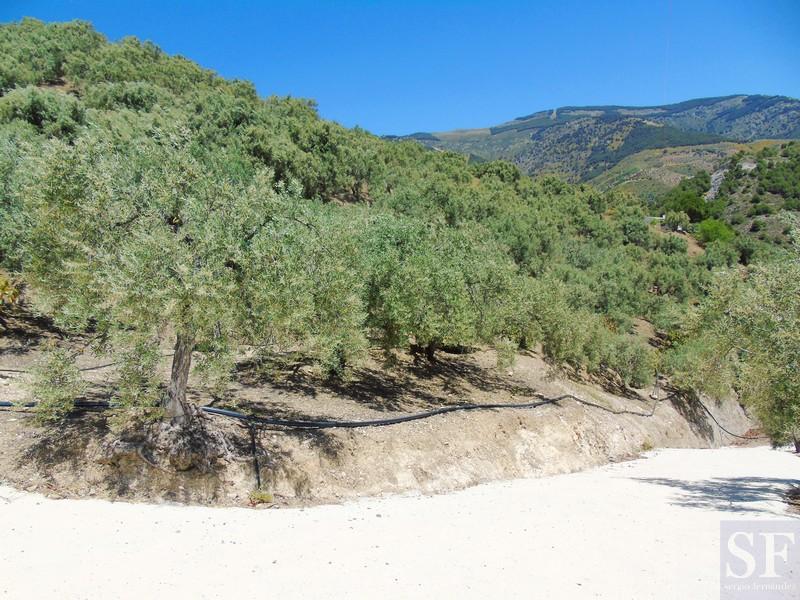 House for Sale in Canillas de Albaida