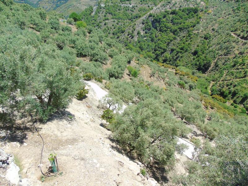 House for Sale in Canillas de Albaida