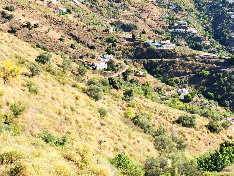 Plot for Sale in Cómpeta