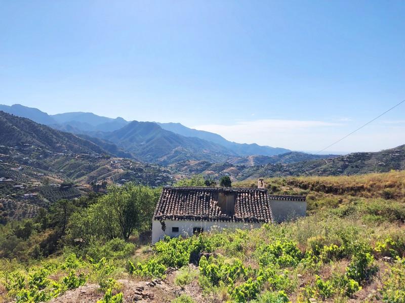 Plot for Sale in Cómpeta
