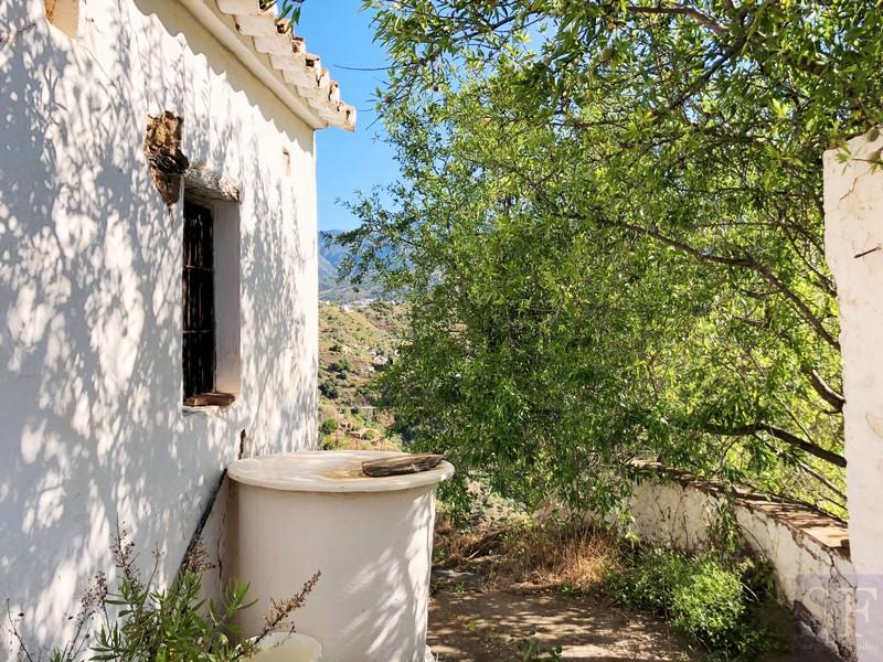Plot for Sale in Cómpeta