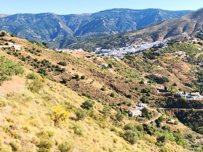 Plot for Sale in Cómpeta