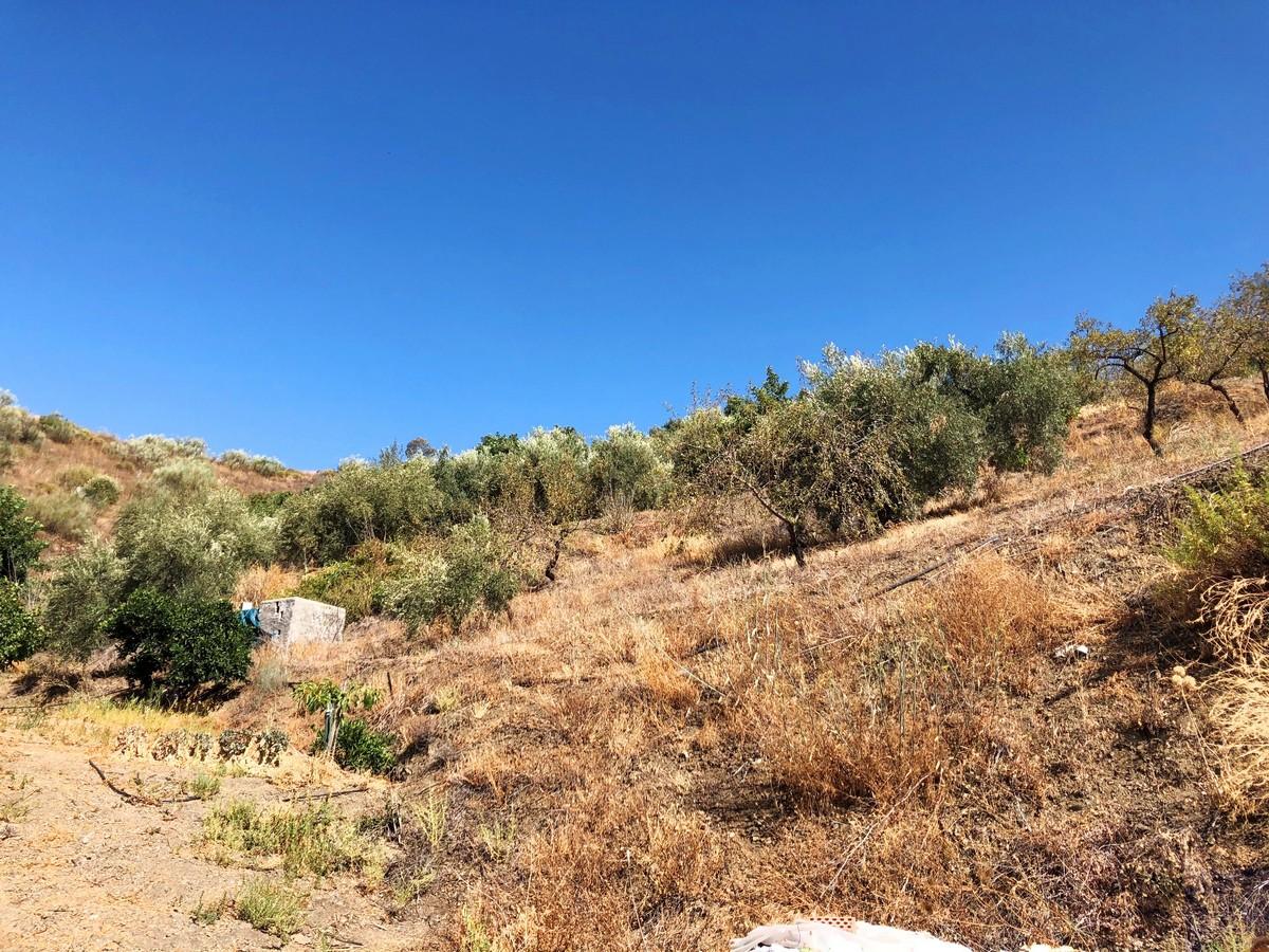 Plot for Sale in Sedella
