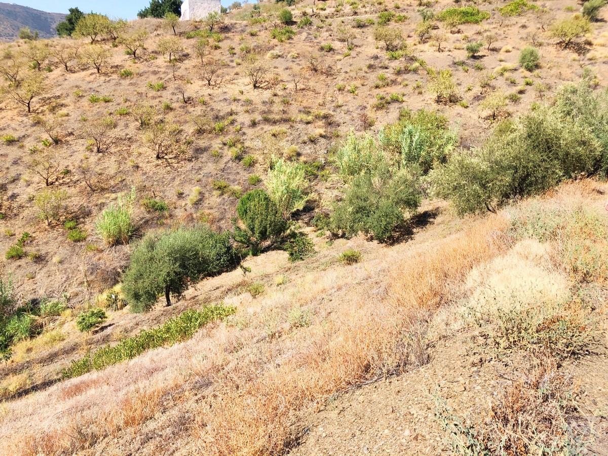 Plot for Sale in Sedella