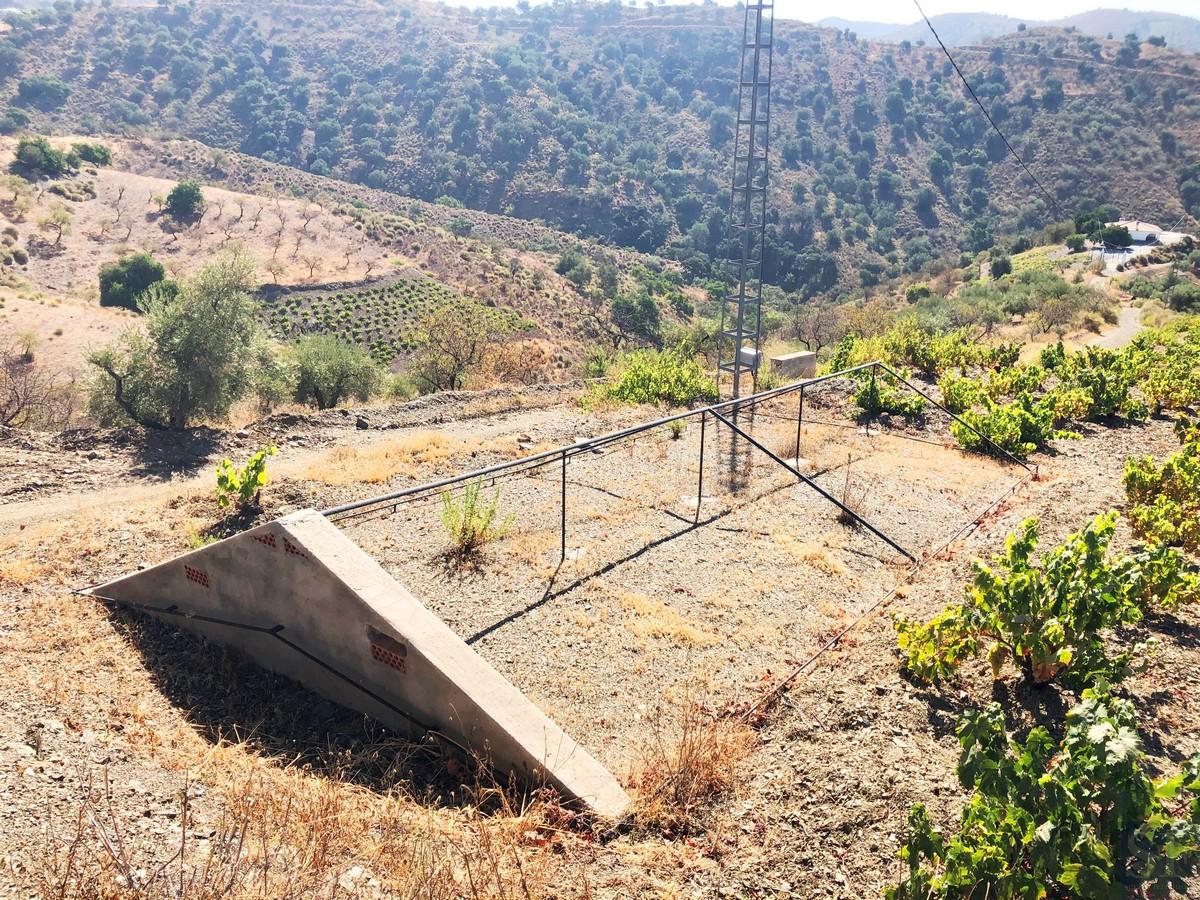 Plot for Sale in Sedella