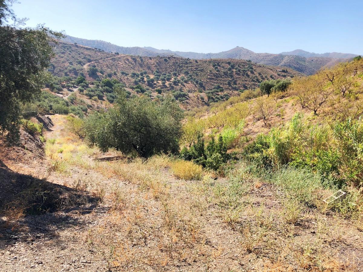 Plot for Sale in Sedella