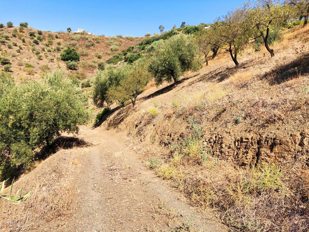 Plot for Sale in Sedella