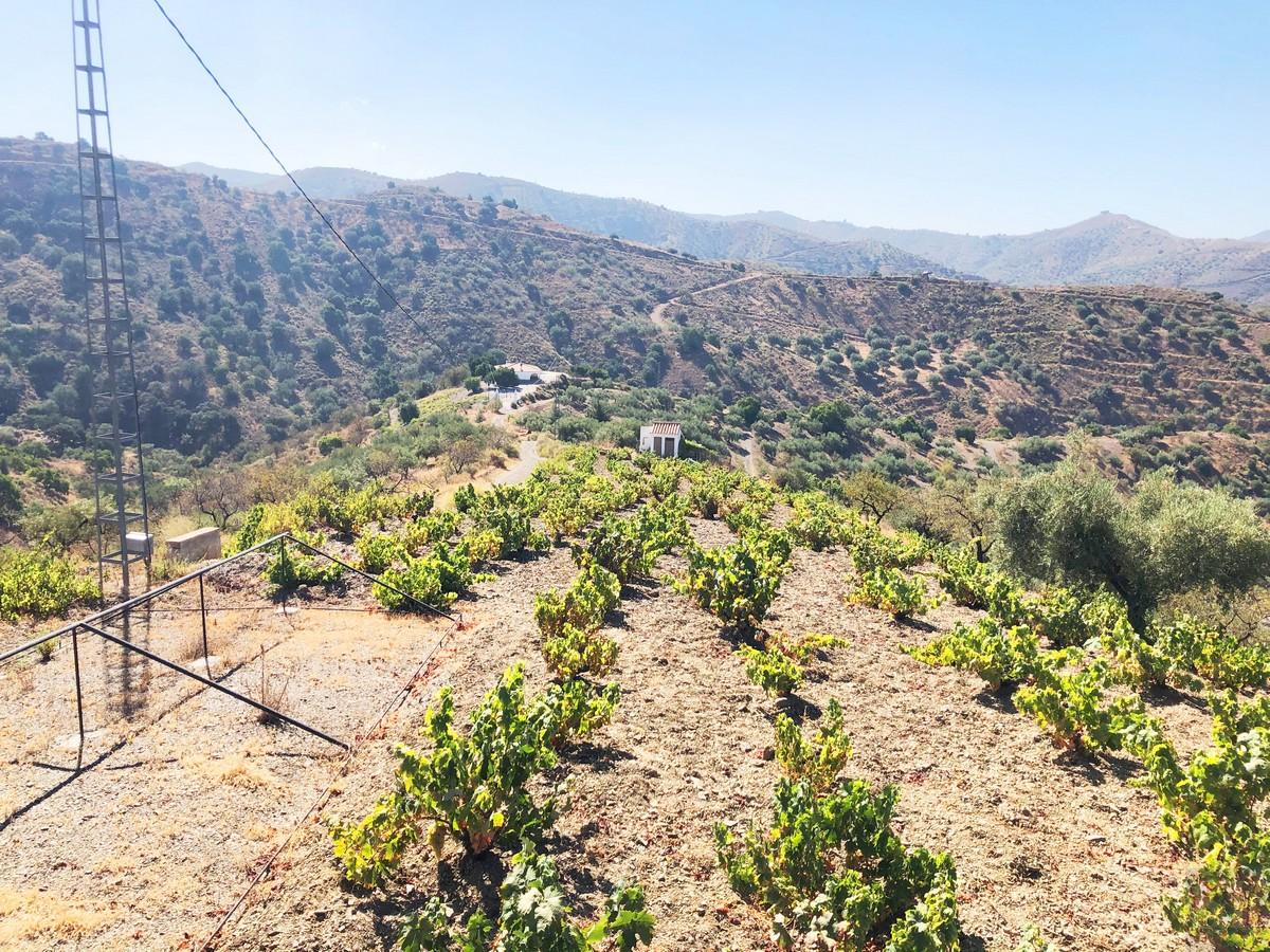 Plot for Sale in Sedella