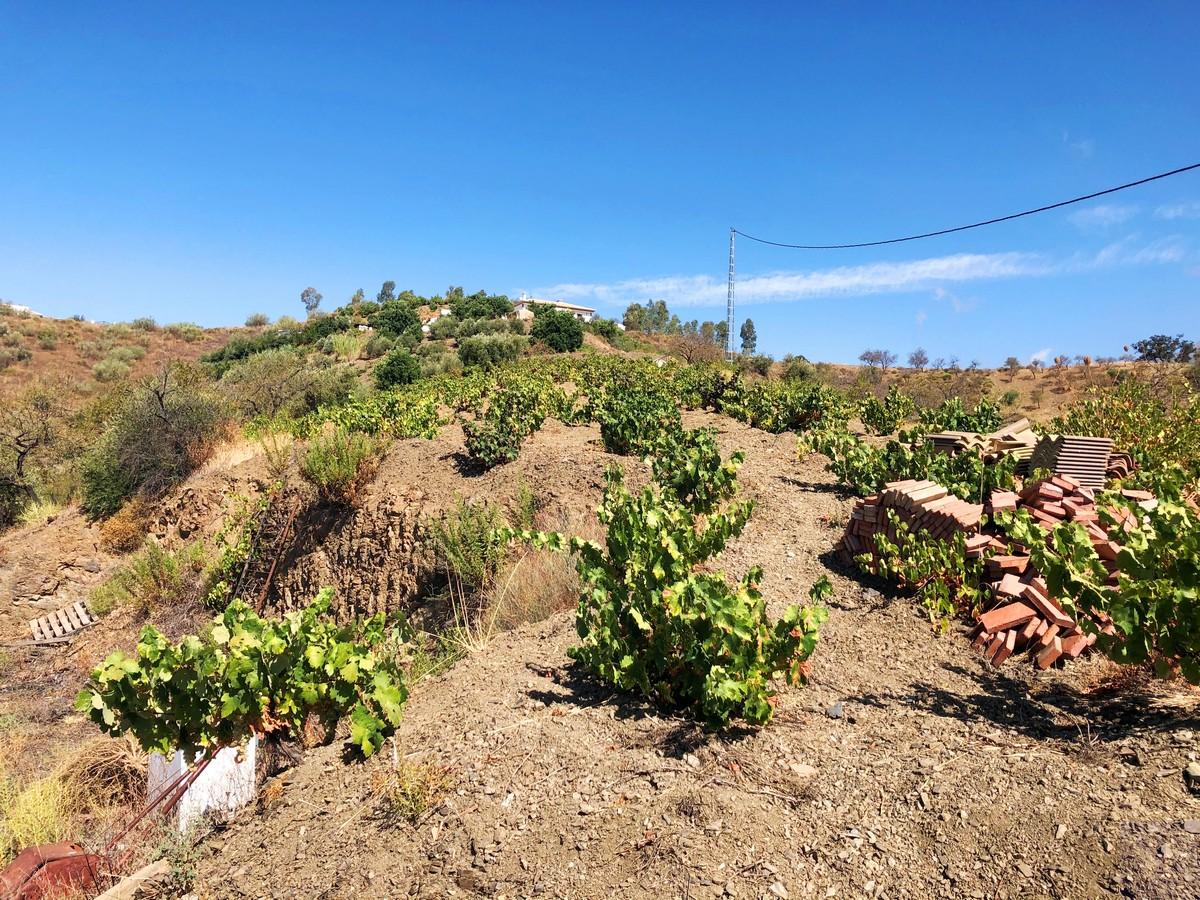 Plot for Sale in Sedella