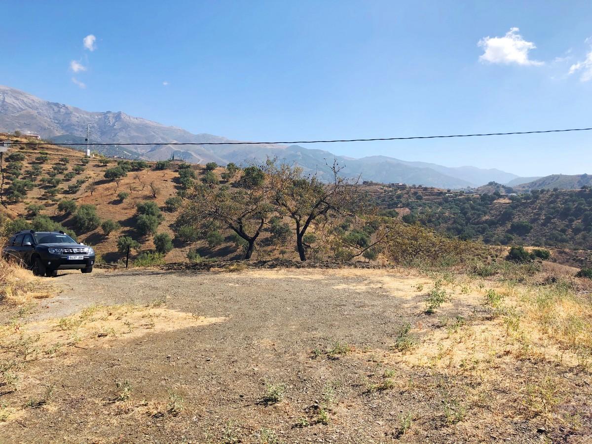 Plot for Sale in Sedella