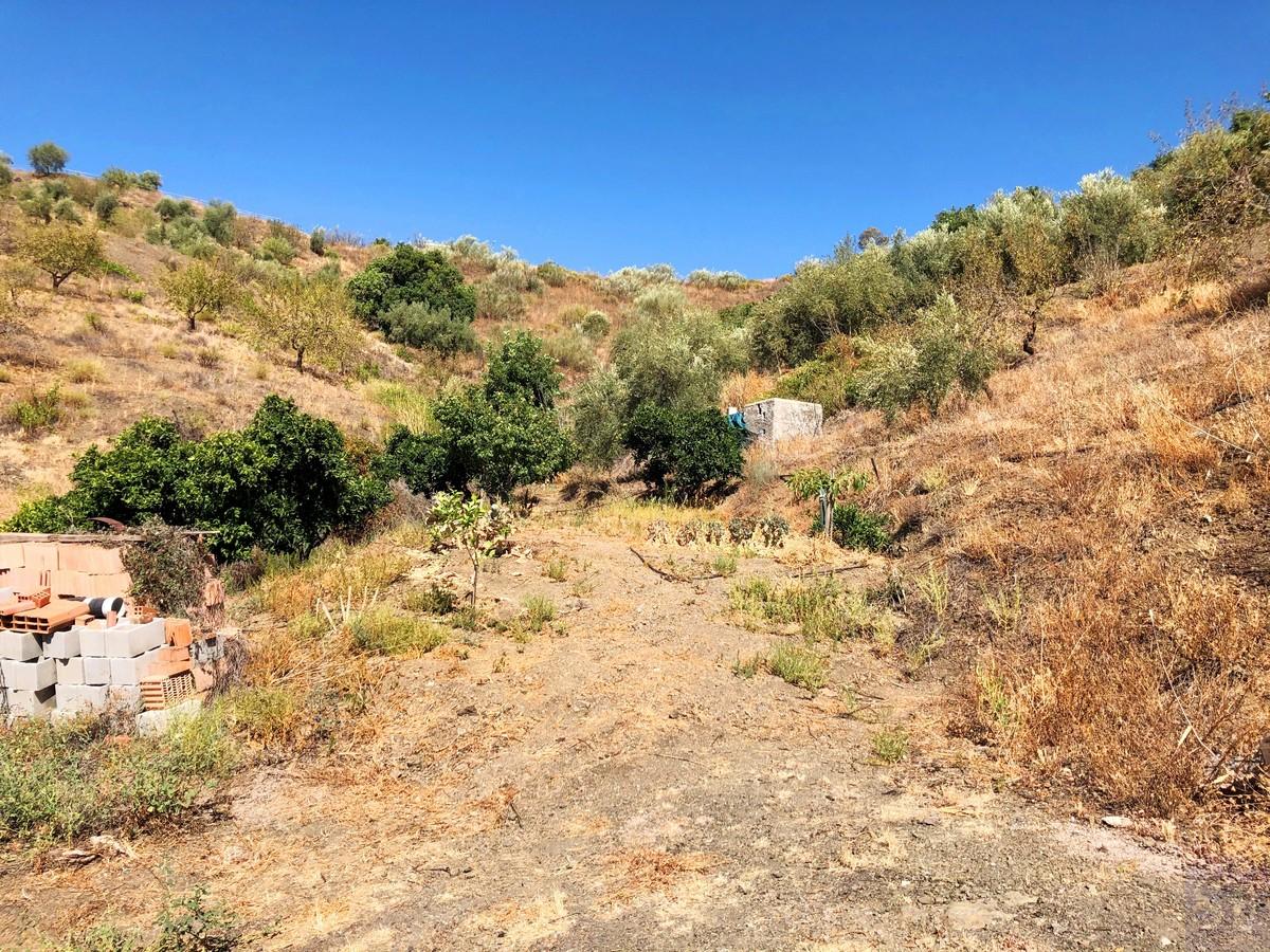 Plot for Sale in Sedella