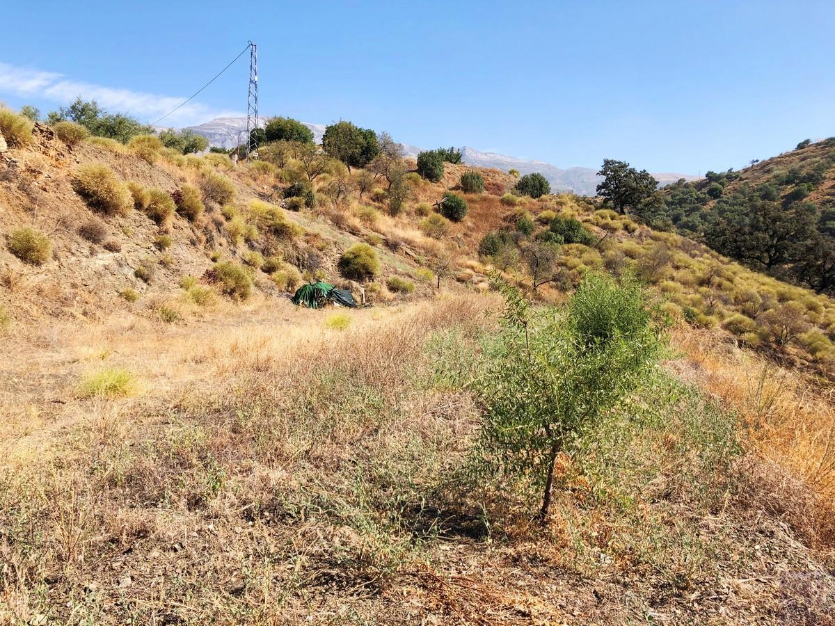 Plot for Sale in Sedella