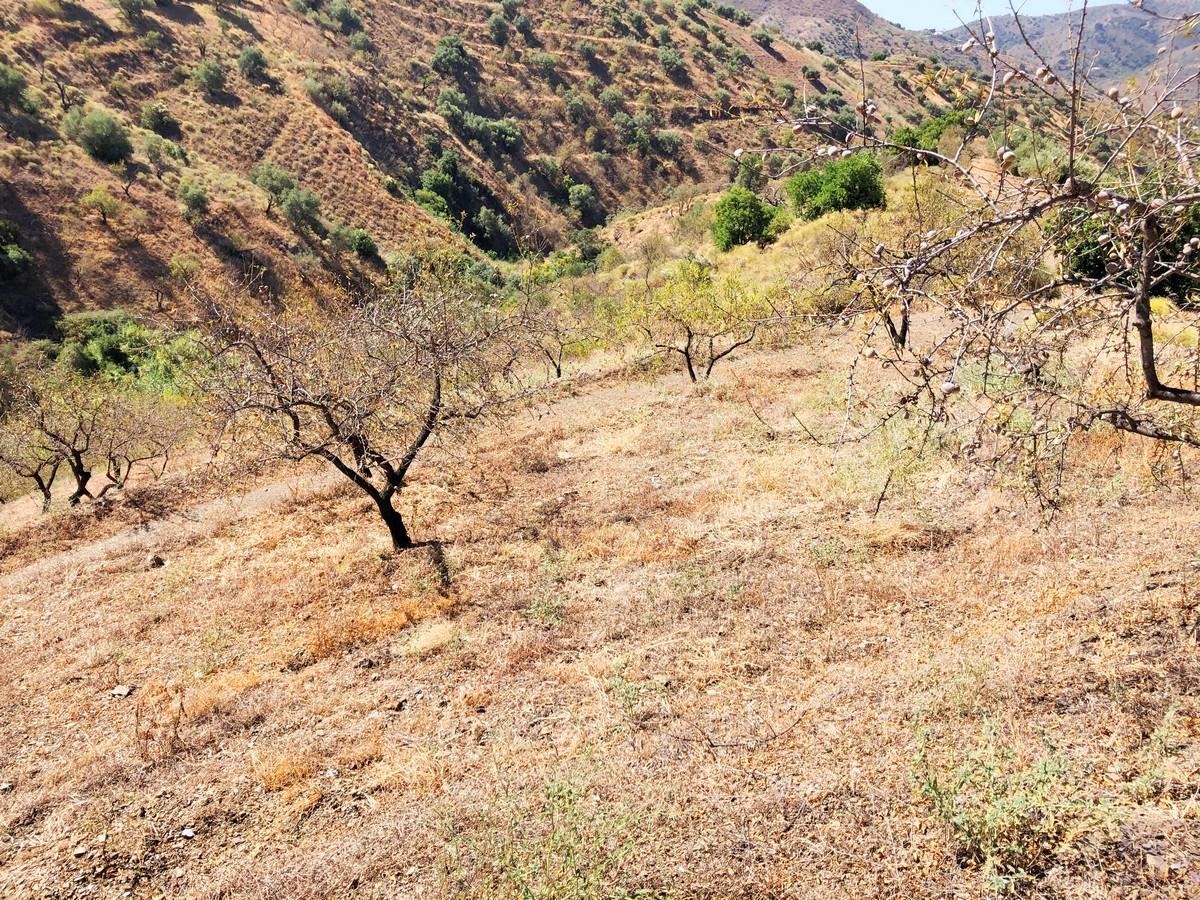 Plot for Sale in Sedella
