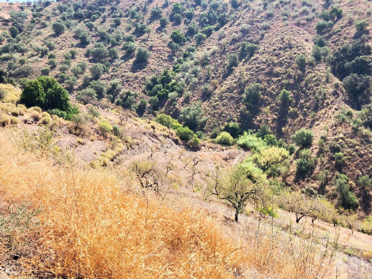 Plot for Sale in Sedella
