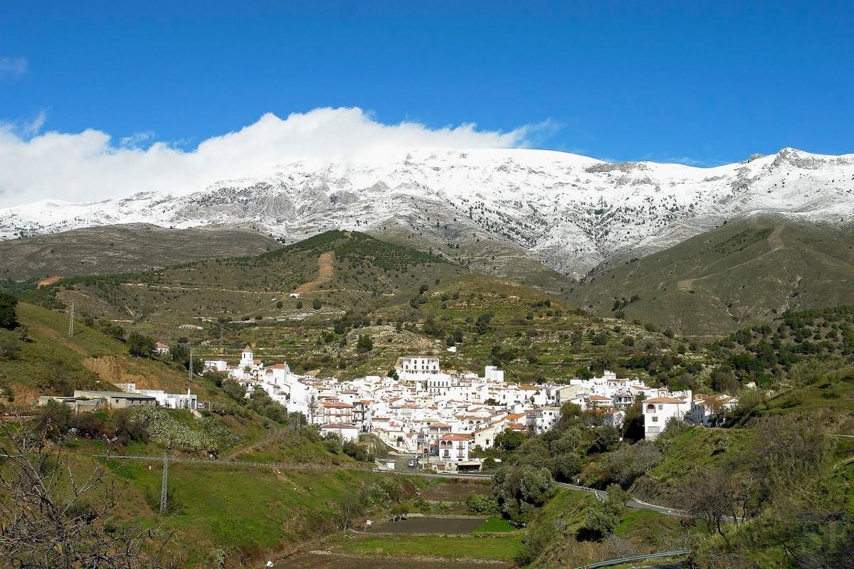 Plot for Sale in Sedella