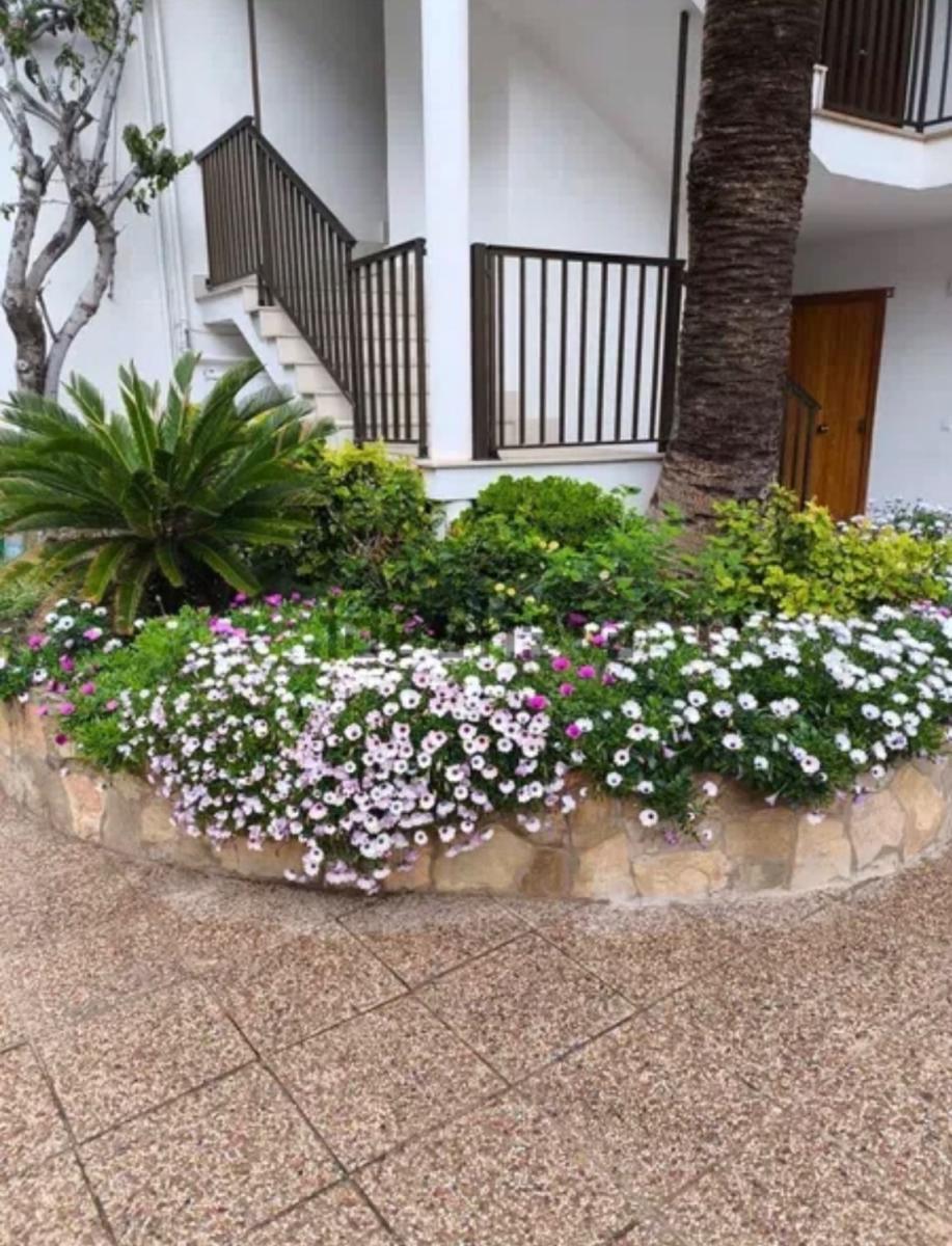 Flat for Rent in Calvià