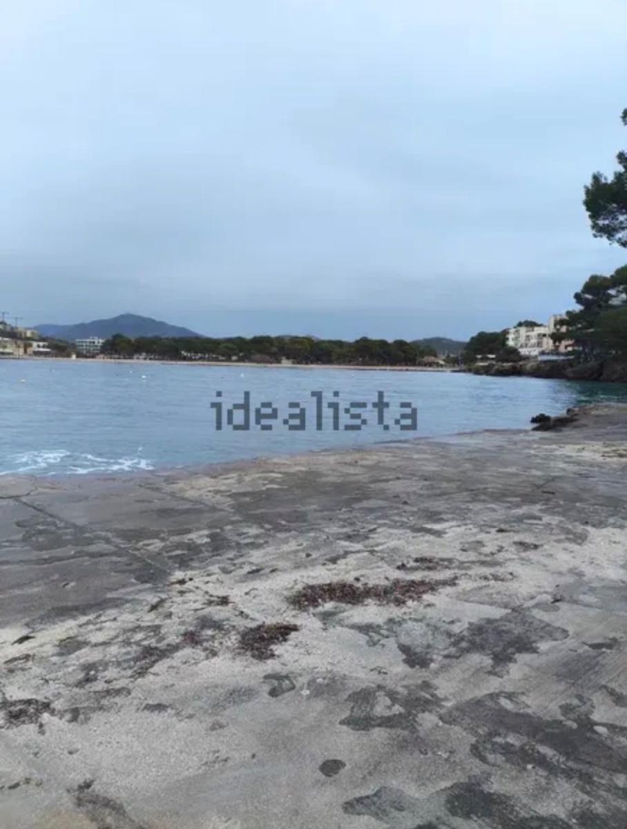 Flat for Rent in Calvià