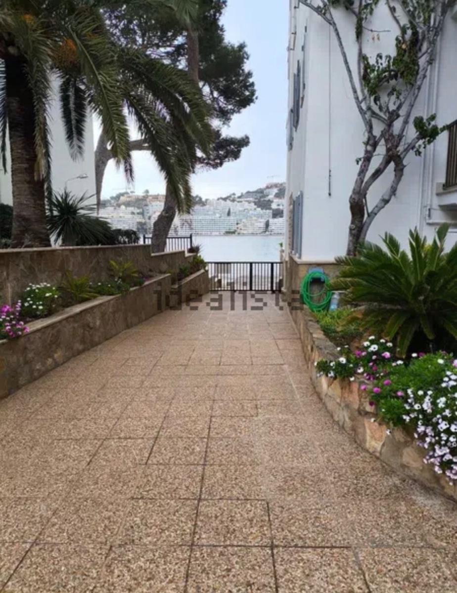 Flat for Rent in Calvià