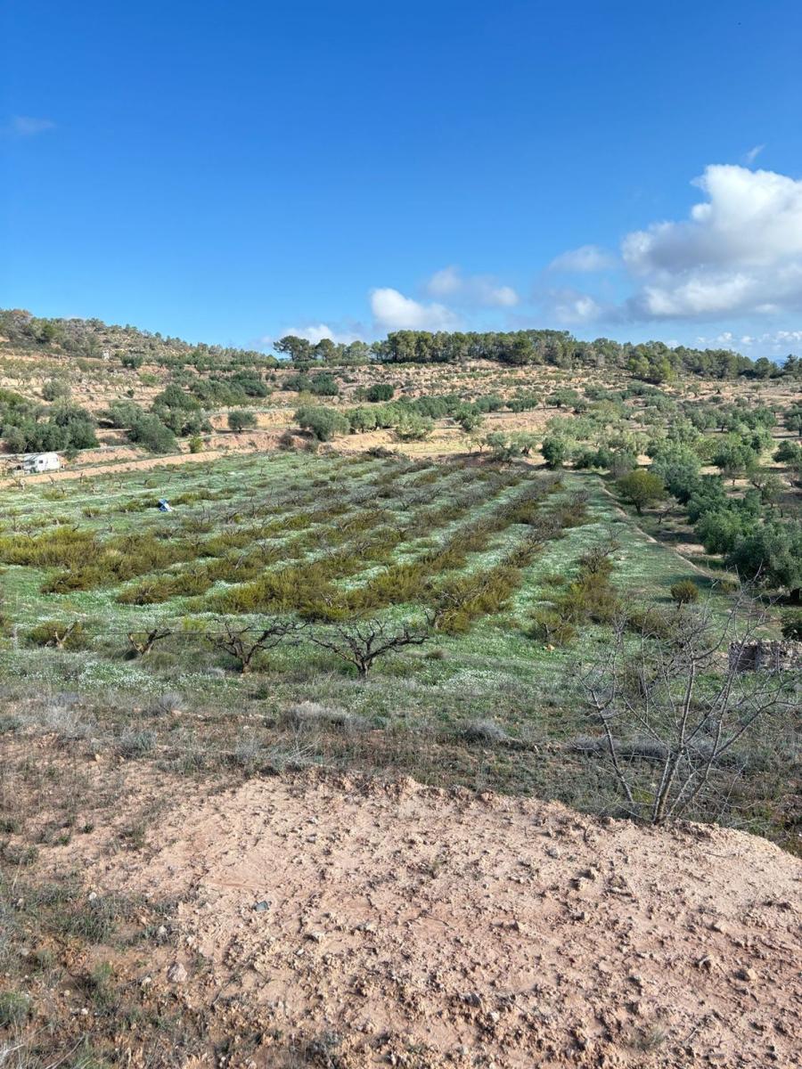 Solar en Venta en La Fatarella