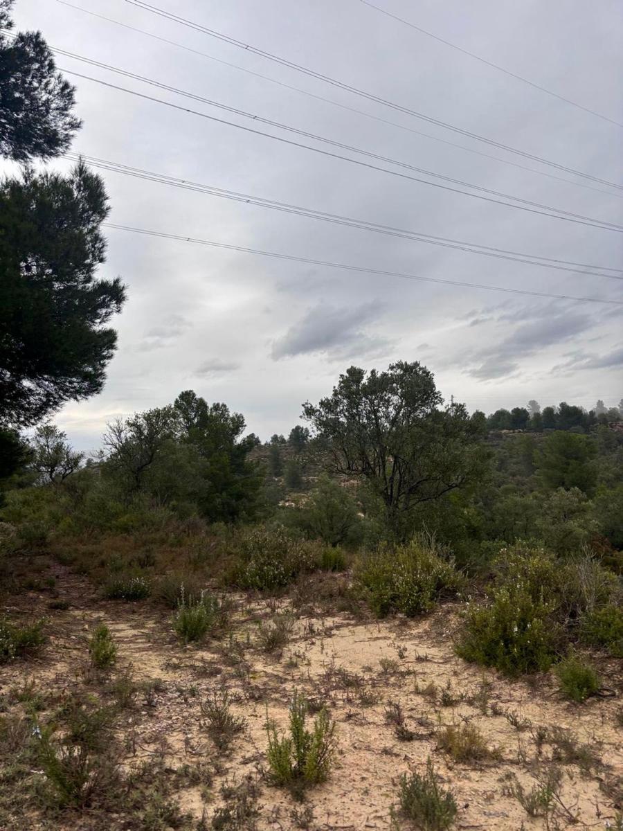 Building Site for Sale in Ascó
