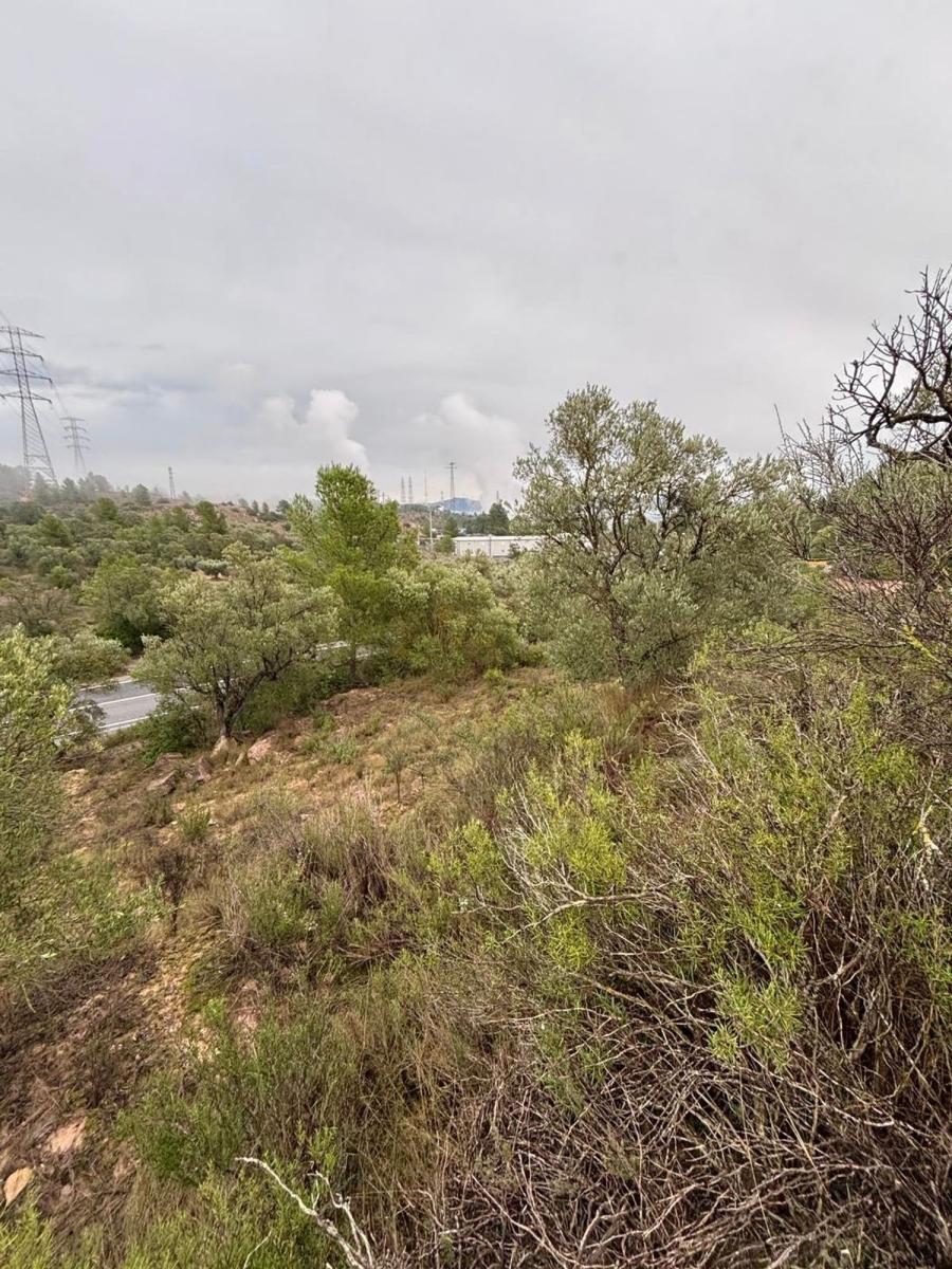 Building Site for Sale in Ascó